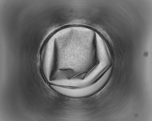 X0000098221224200805151309