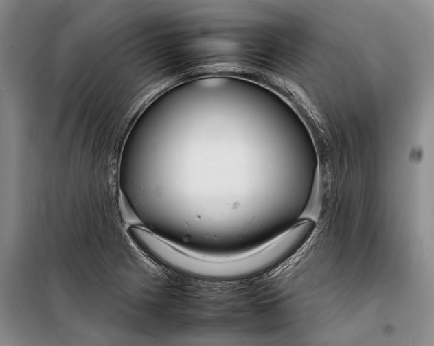 X0000098221225200805151309