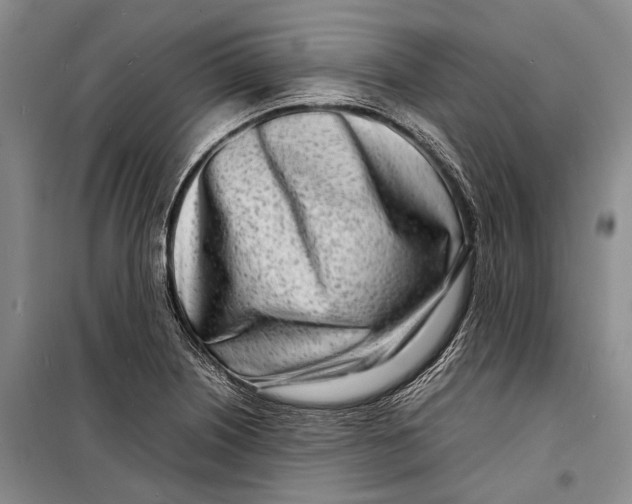 X0000098221226200805151309