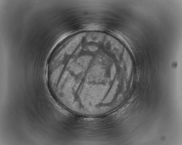 X0000098221227200805151309