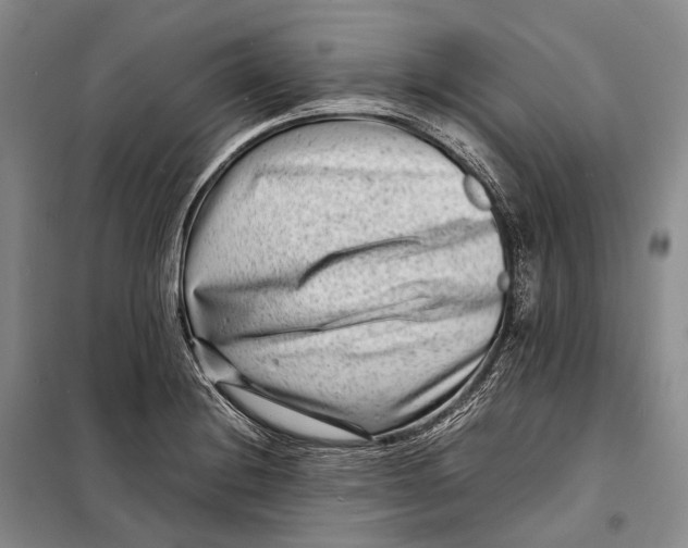 X0000098221228200805151309