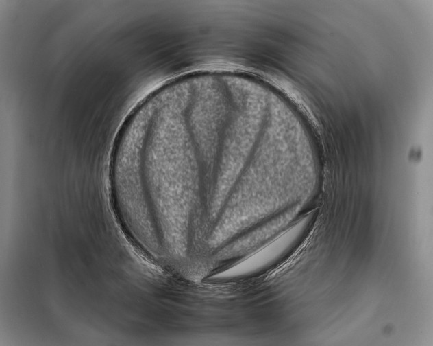 X0000098221229200805151309