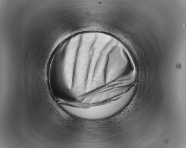 X0000098221230200805151309