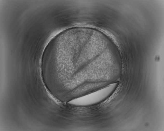 X0000098221231200805151309