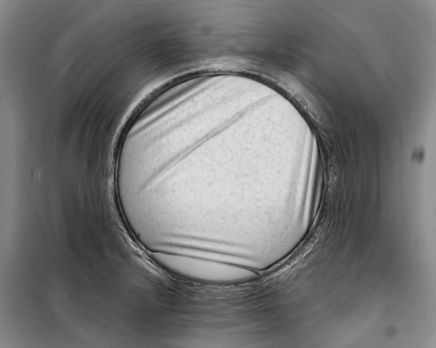 X0000098221232200805151309