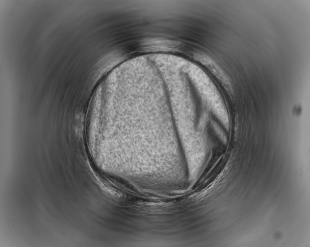 X0000098221233200805151309