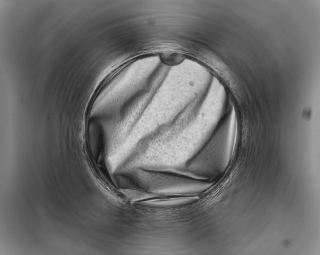 X0000098221234200805151309