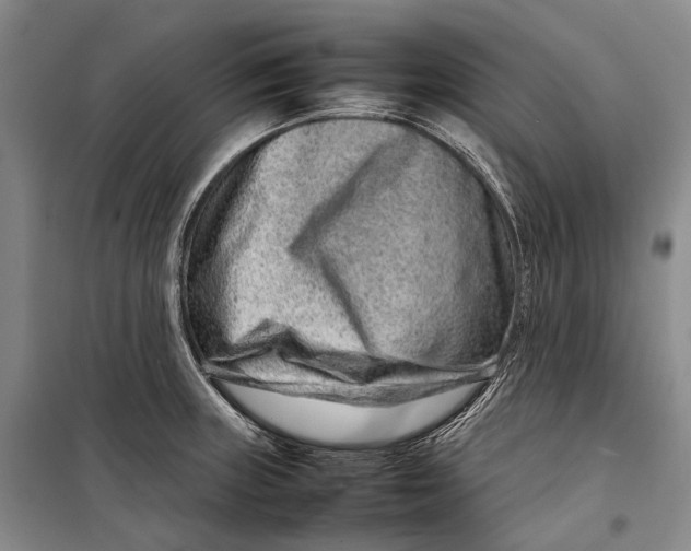 X0000098221235200805151309