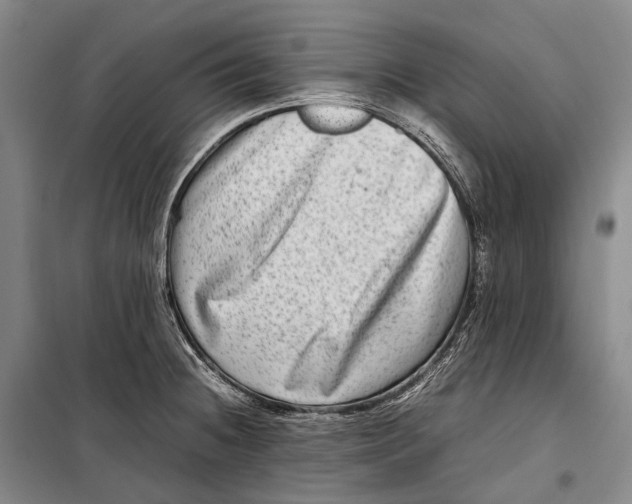 X0000098221236200805151309