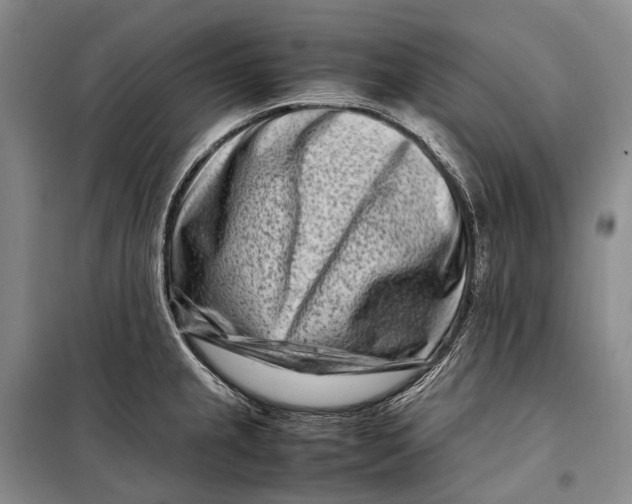 X0000098221237200805151309