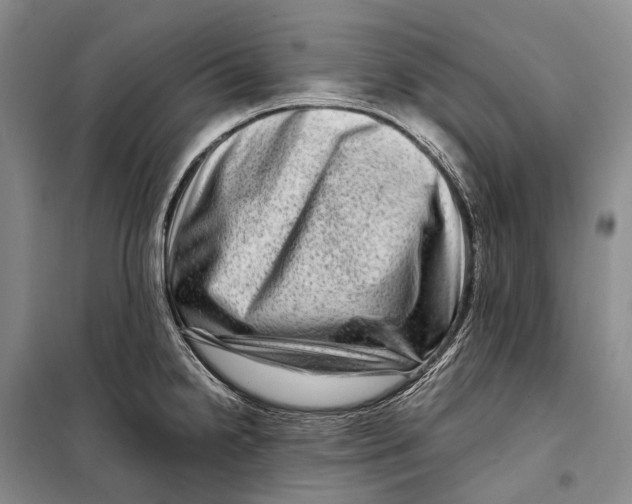 X0000098221238200805151309