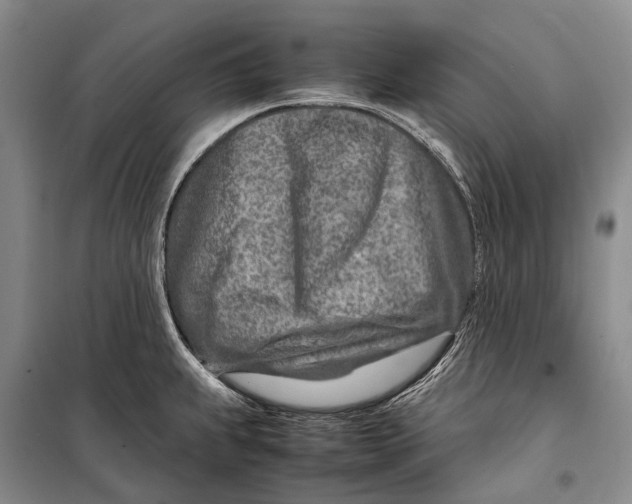 X0000098221239200805151309