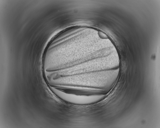 X0000098221240200805151309