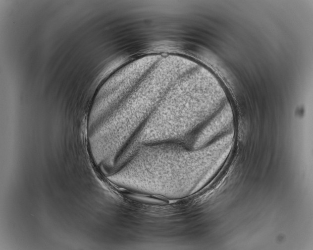 X0000098221241200805151309