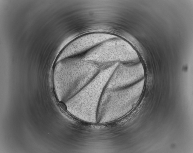 X0000098221242200805151309