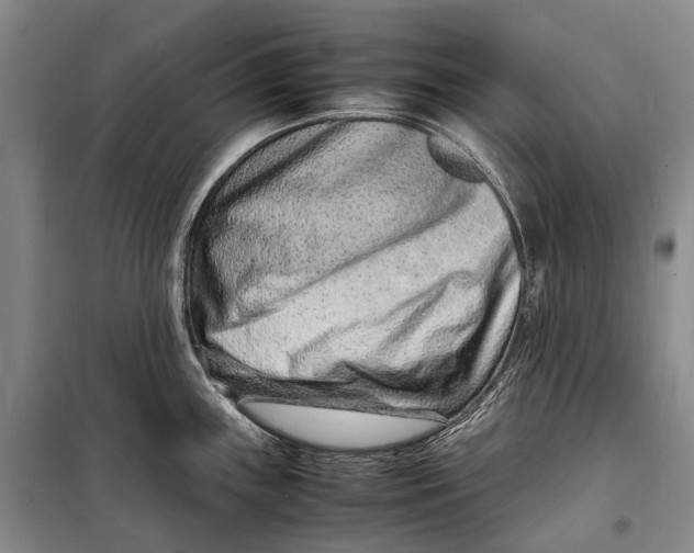 X0000098221243200805151309