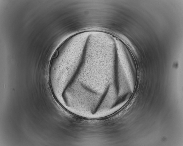 X0000098221244200805151309