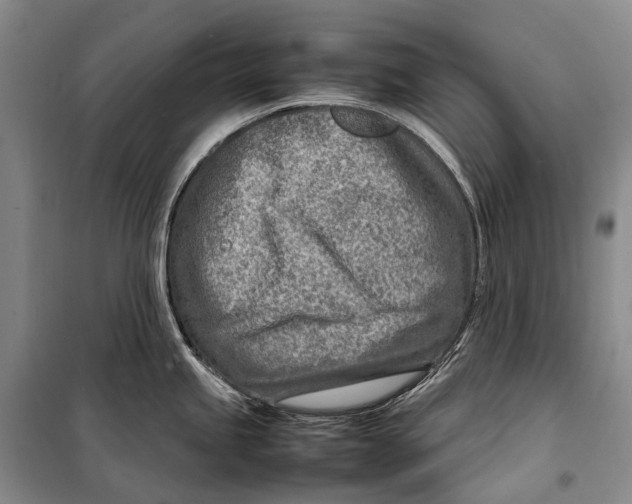 X0000098221245200805151309