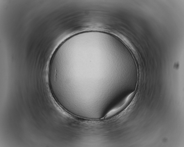 X0000098221246200805151309