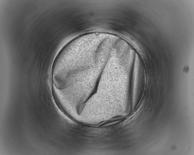 X0000098221247200805151309