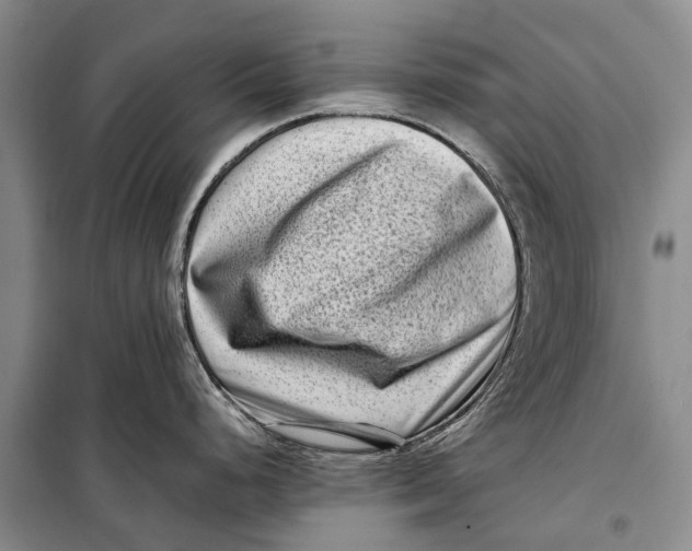 X0000098221248200805151309