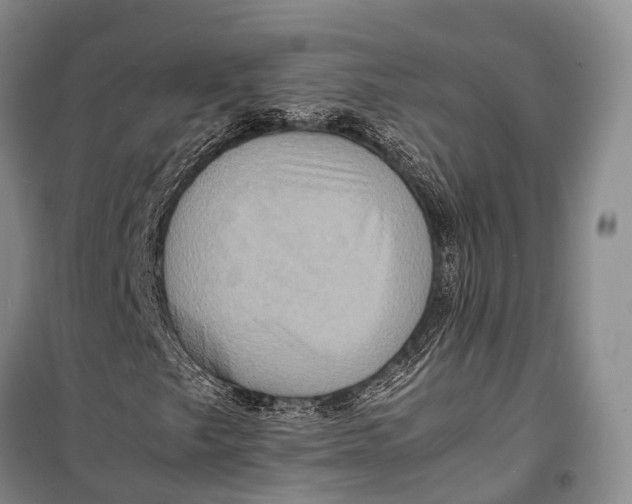 X0000098221249200805151308