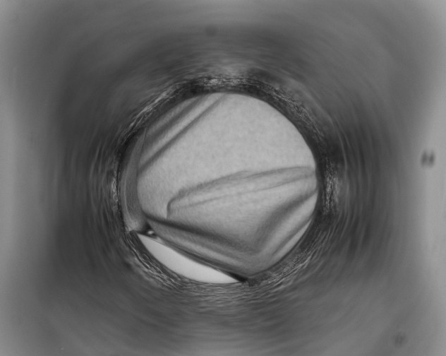 X0000098221250200805151308