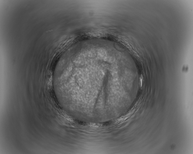 X0000098221251200805151308