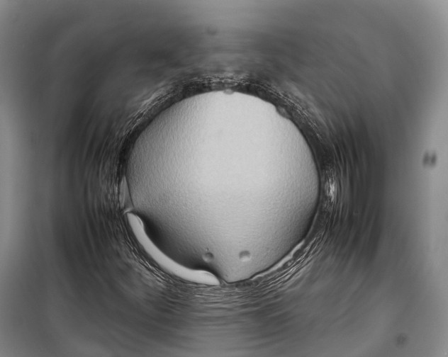 X0000098221252200805151308