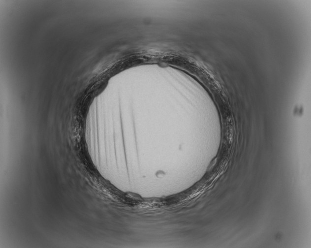 X0000098221253200805151308