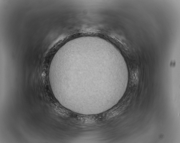 X0000098221254200805151308