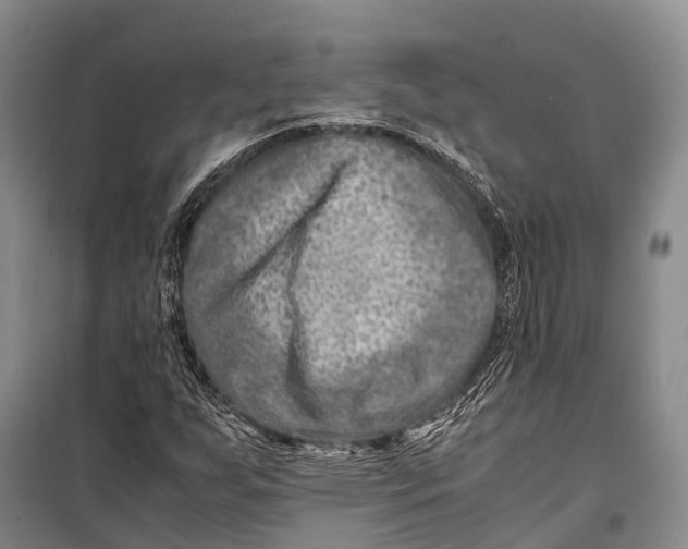 X0000098221255200805151308