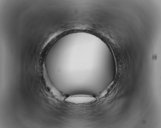 X0000098221256200805151308