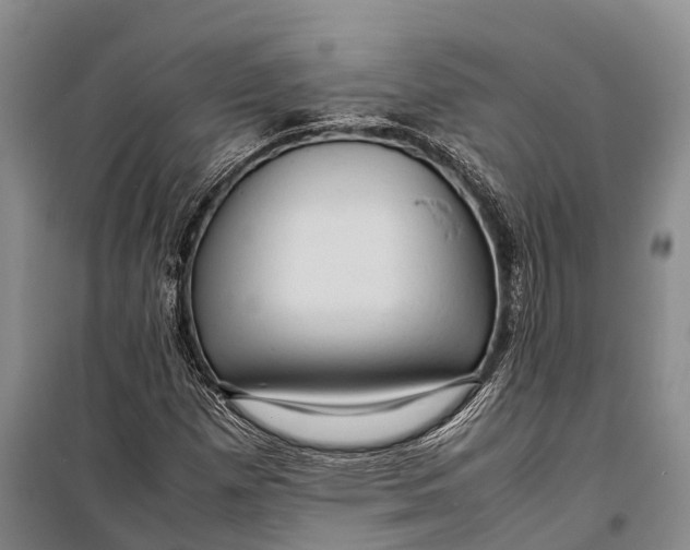 X0000098221257200805151308