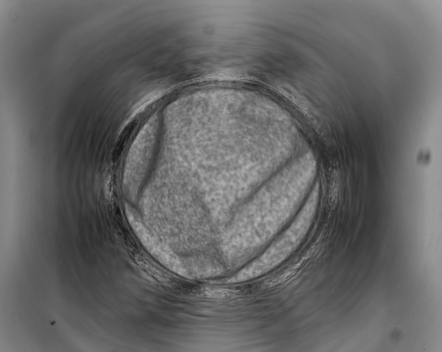 X0000098221258200805151308