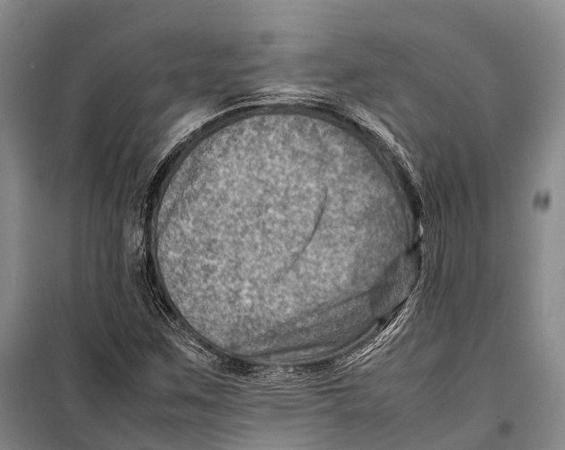 X0000098221259200805151308