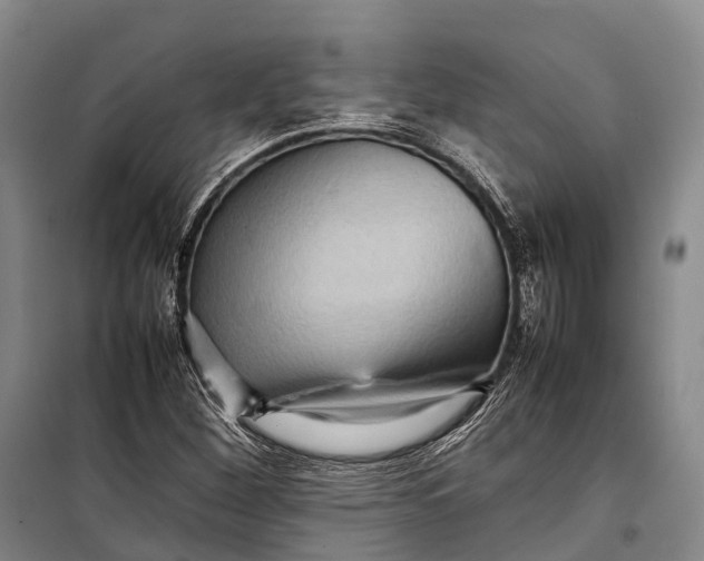 X0000098221260200805151308