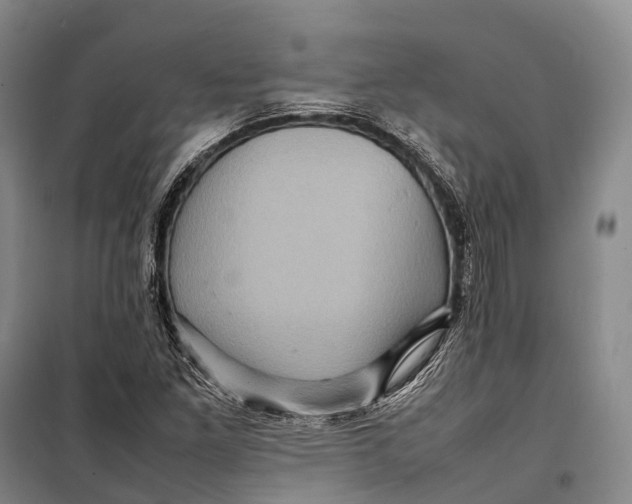 X0000098221261200805151308