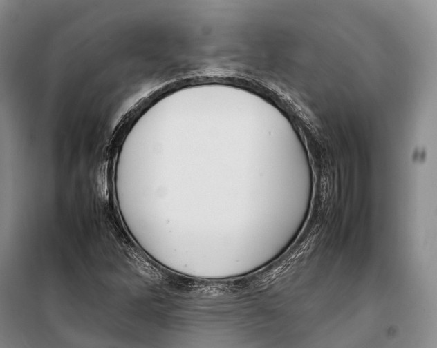 X0000098221262200805151308