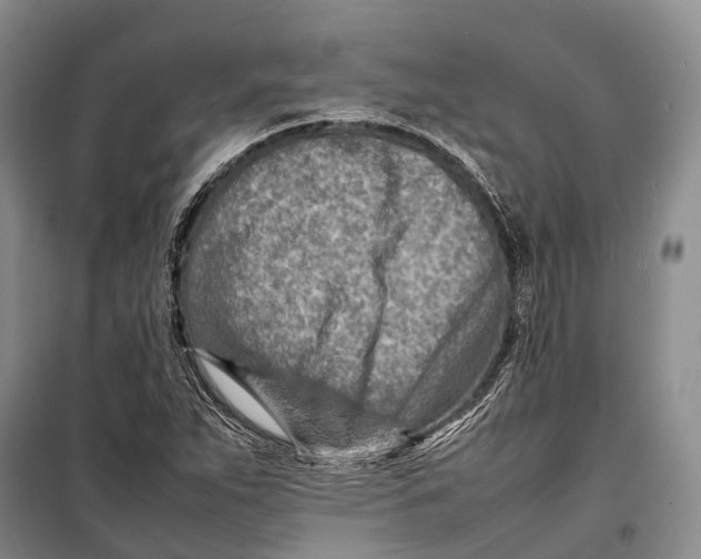 X0000098221263200805151308