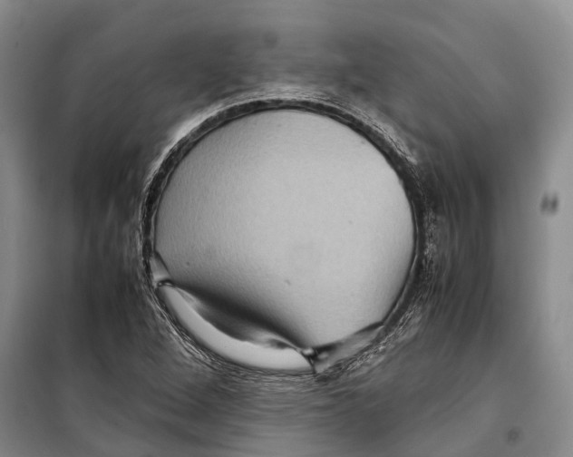 X0000098221264200805151308