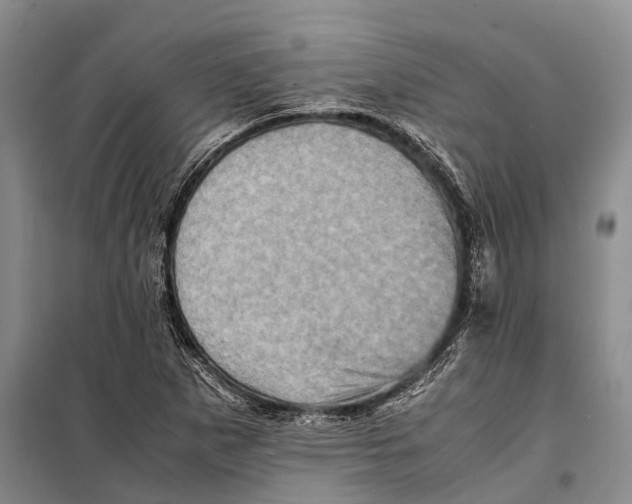 X0000098221265200805151308