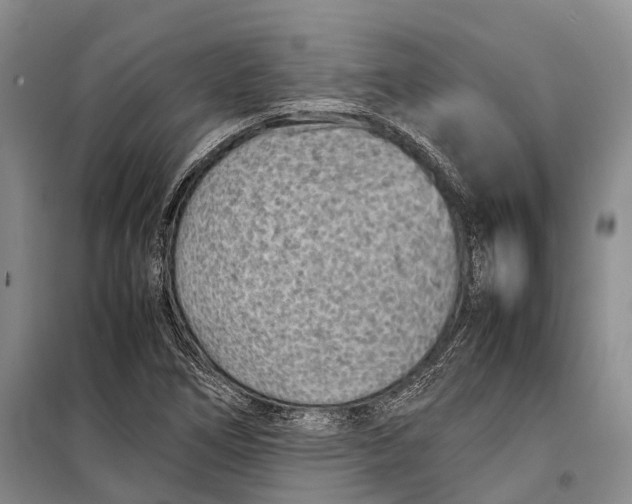 X0000098221266200805151308