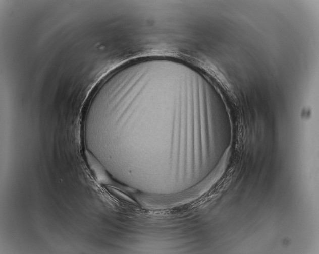 X0000098221268200805151308