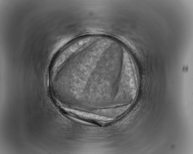 X0000098221269200805151308