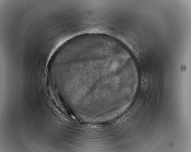 X0000098221270200805151308