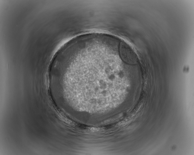 X0000098221271200805151308