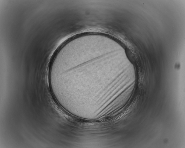 X0000098221272200805151308