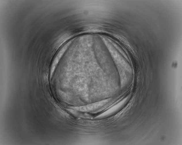 X0000098221273200805151308