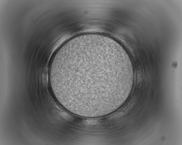 X0000098221274200805151308